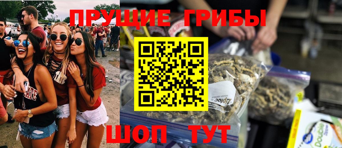 Галлюциногенные грибы MAGIC MUSHROOMS  Вход с VPN  Энгельс 